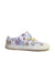 A Multicolour Slip Ons from Native Shoes in size 18-24M for girl. (Front View)