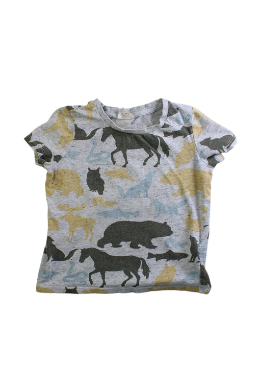 A Multicolour Short Sleeve T Shirts from Seed in size 3T for boy. (Front View)