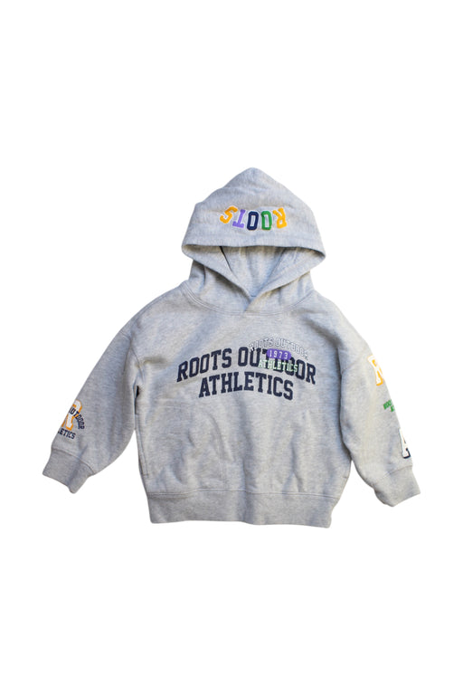 A Grey Hooded Sweatshirts from Roots in size 3T for maternity. (Front View)