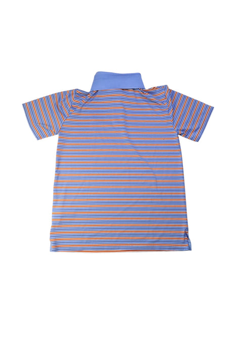 A Multicolour Short Sleeve Polos from Polo Ralph Lauren in size 12Y for boy. (Back View)