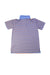 A Multicolour Short Sleeve Polos from Polo Ralph Lauren in size 12Y for boy. (Back View)