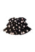 A Black Short Skirts from Beau Loves in size 6T for girl. (Front View)