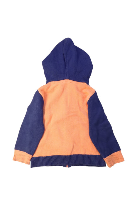 A Navy Hooded Sweatshirts from River Woods in size 2T for boy. (Back View)
