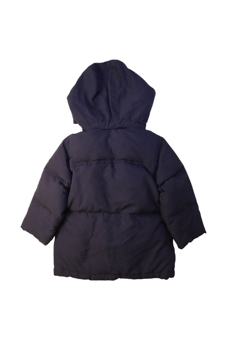 A Navy Puffer/Quilted Coats & Outerwear from Jacadi in size 3T for neutral. (Back View)