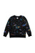 A Multicolour Crewneck Sweatshirts from Hanna Andersson in size 5T for boy. (Front View)