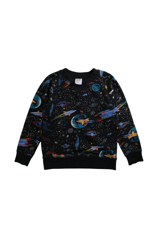 A Multicolour Crewneck Sweatshirts from Hanna Andersson in size 5T for boy. (Front View)