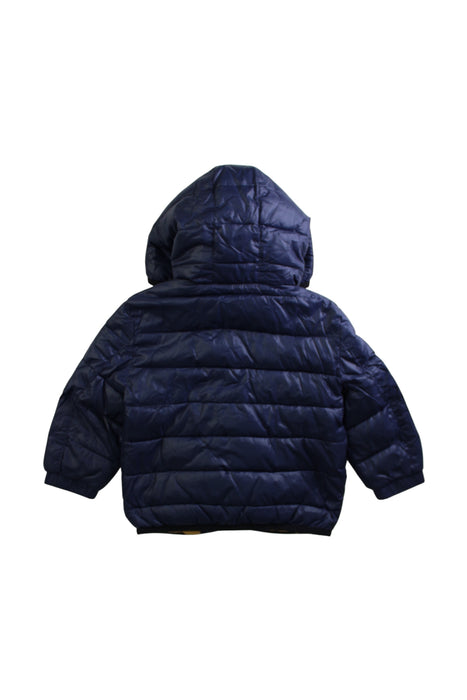 A Navy Puffer/Quilted Jackets from Tommy Hilfiger in size 12-18M for boy. (Back View)