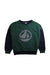 A Green Crewneck Sweatshirts from Petit Bateau in size 10Y for boy. (Front View)