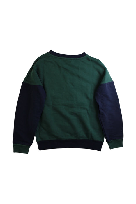 A Green Crewneck Sweatshirts from Petit Bateau in size 10Y for boy. (Back View)