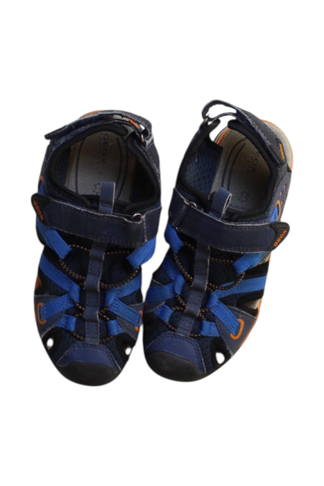 A Multicolour Sandals from Geox in size 6T for boy. (Back View)