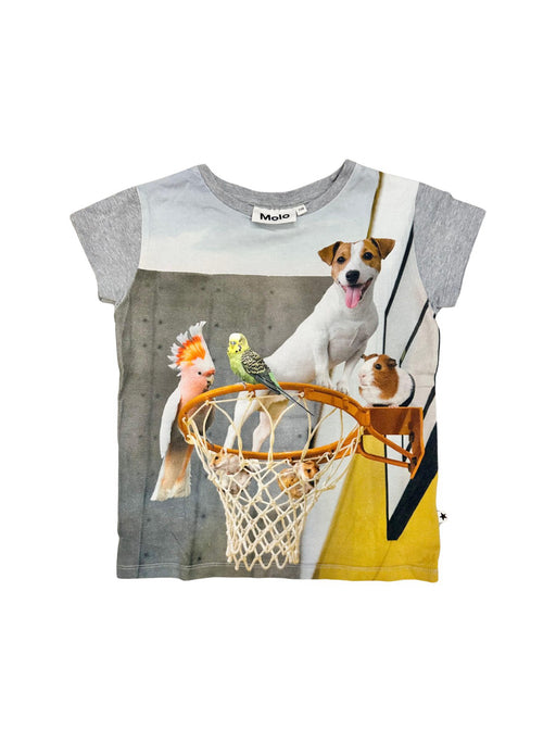 A Grey Short Sleeve T Shirts from Molo in size 4T for neutral. (Front View)