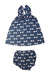 A Navy Shorts Sets from Jacadi in size 3T for girl. (Back View)