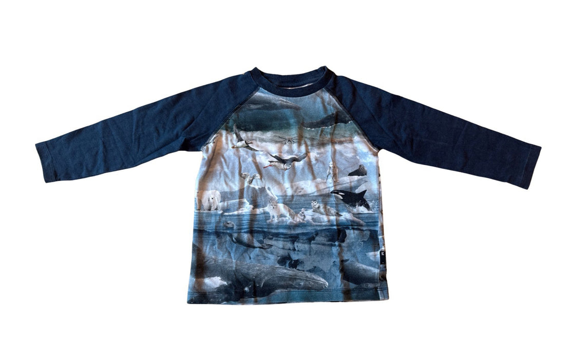 A Blue Long Sleeve Shirts from Molo in size 5T for boy. (Front View)
