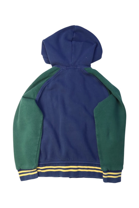 A Multicolour Hooded Sweatshirts from Polo Ralph Lauren in size 8Y for boy. (Back View)