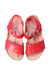 A Red Sandals from Birkenstock in size 5T for girl. (Back View)