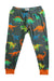 A Multicolour Casual Pants from Hatley in size 4T for boy. (Front View)