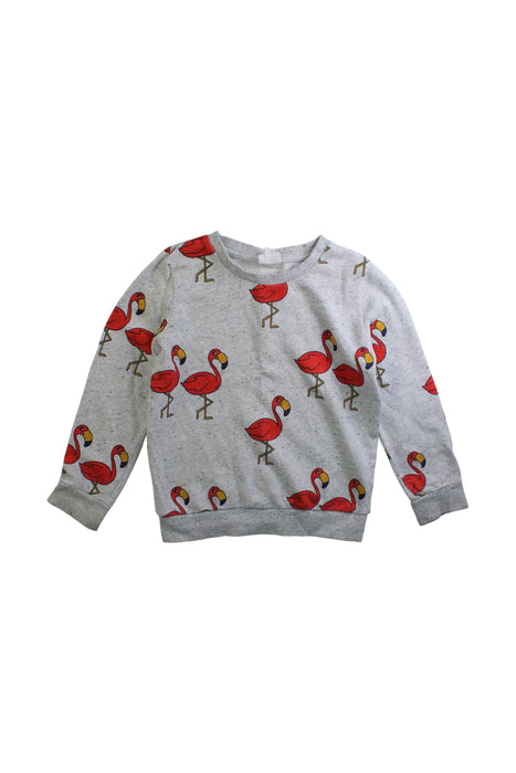 A Grey Long Sleeve Tops from Seed in size 6T for boy. (Front View)