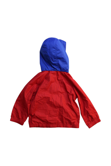 A Red Puffer/Quilted Coats & Outerwear from Ralph Lauren in size 12-18M for girl. (Back View)