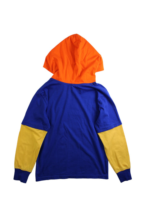 A Multicolour Hooded Sweatshirts from Polo Ralph Lauren in size 8Y for boy. (Back View)