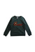 A Green Crewneck Sweatshirts from Bonpoint in size 5T for boy. (Front View)