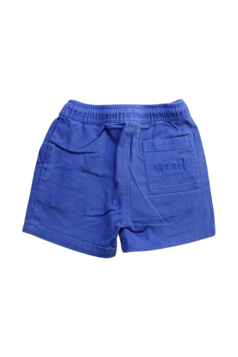 A Blue Shorts from Seed in size 3T for boy. (Back View)