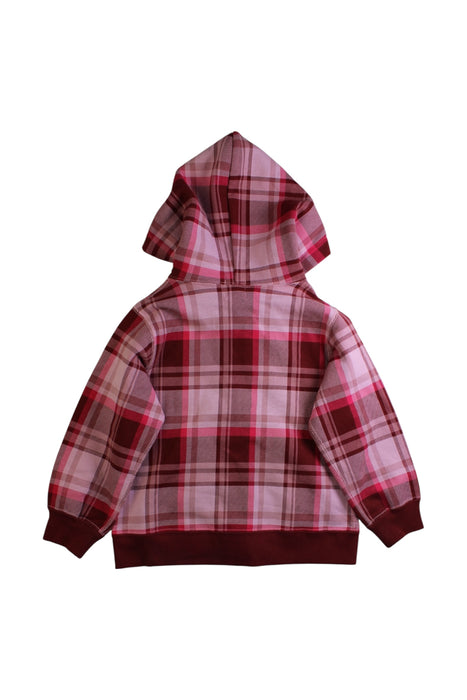 A Multicolour Hooded Sweatshirts from BAPE KIDS in size 4T for girl. (Back View)