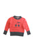 A Pink Knit Sweaters from Bonpoint in size 3T for neutral. (Front View)