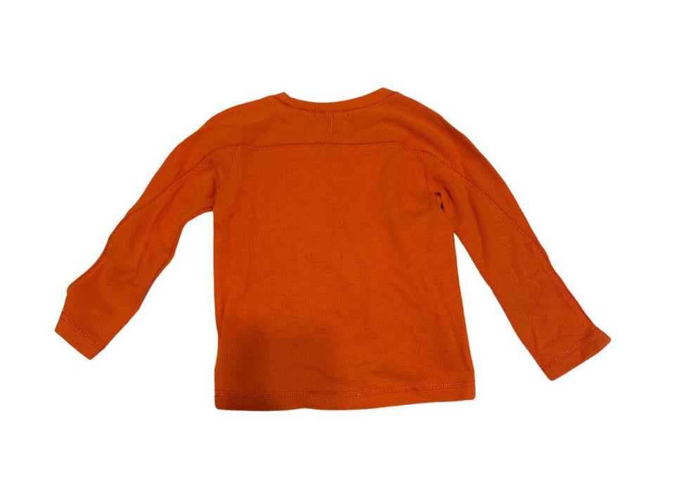A Orange Long Sleeve T Shirts from Polo Ralph Lauren in size 2T for boy. (Back View)