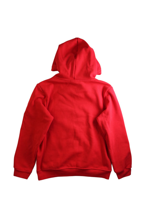 A Red Hooded Sweatshirts from Champion in size 14Y for neutral. (Back View)