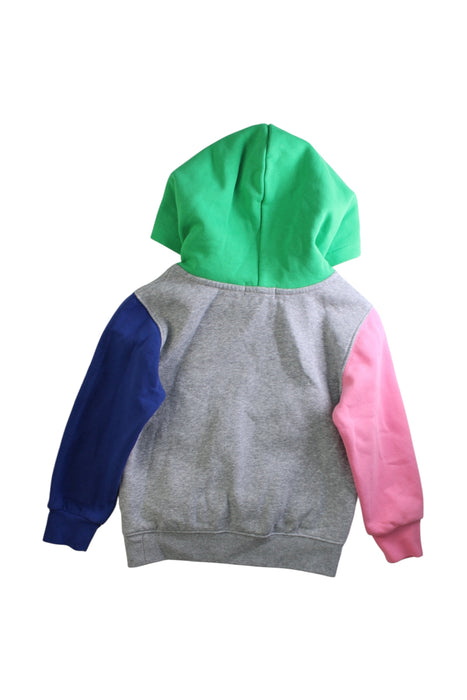 A Multicolour Hooded Sweatshirts from Polo Ralph Lauren in size 4T for boy. (Back View)