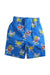 A Multicolour Shorts from Stella McCartney in size 3T for boy. (Front View)