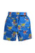 A Multicolour Shorts from Stella McCartney in size 3T for boy. (Back View)