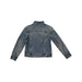 A Blue Lightweight Jackets from Gucci in size 12Y for girl. (Back View)