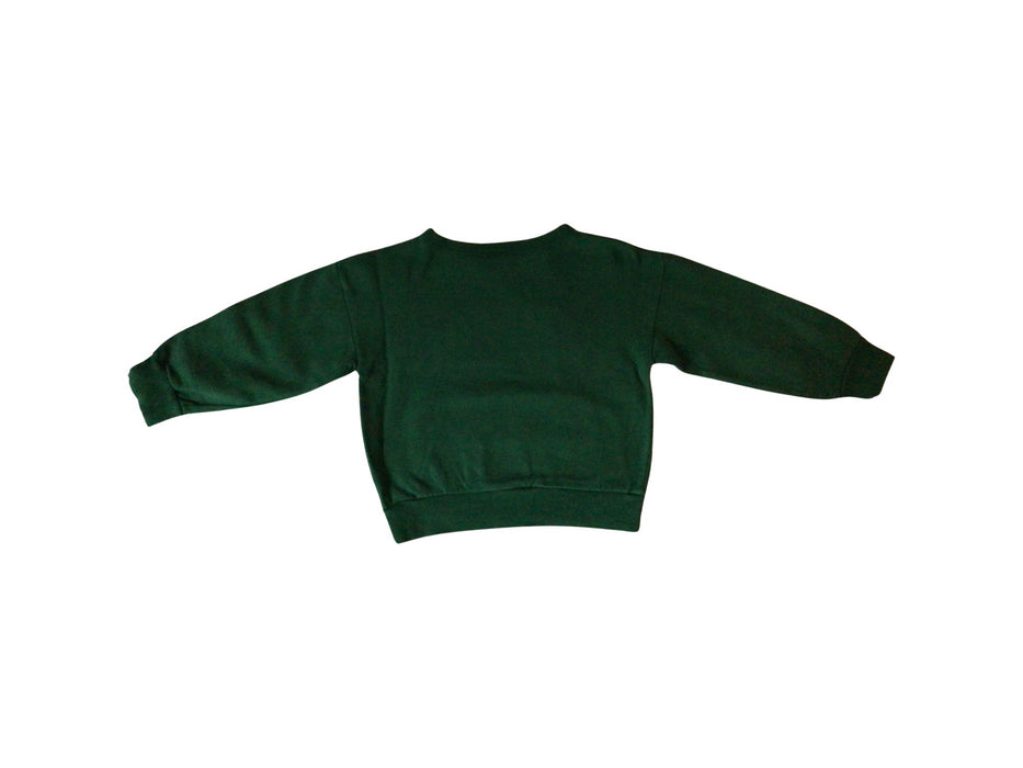 A Green Crewneck Sweatshirts from Petit Bateau in size 6T for neutral. (Back View)