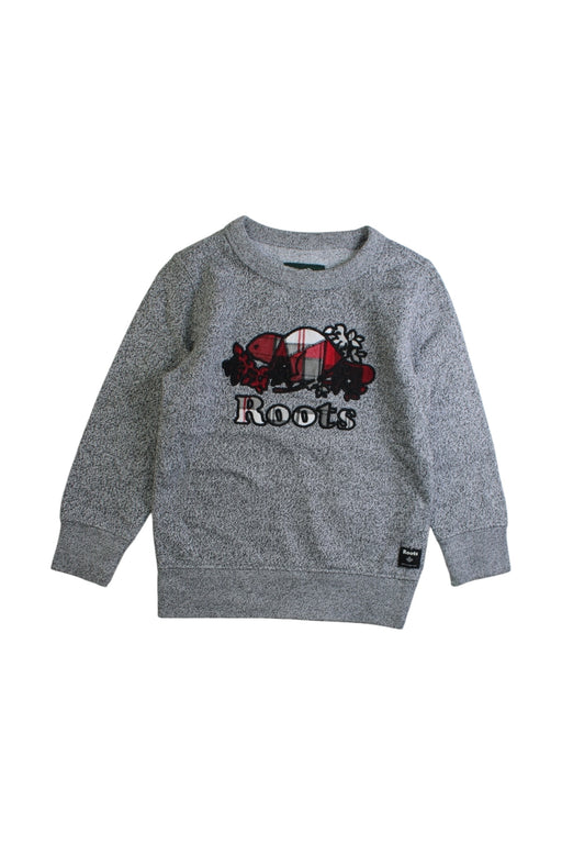 A Grey Crewneck Sweatshirts from Roots in size 3T for boy. (Front View)