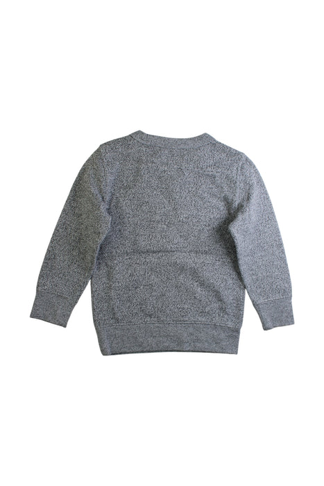 A Grey Crewneck Sweatshirts from Roots in size 3T for boy. (Back View)