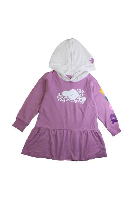 A Multicolour Sweater Dresses from Roots in size 2T for girl. (Front View)