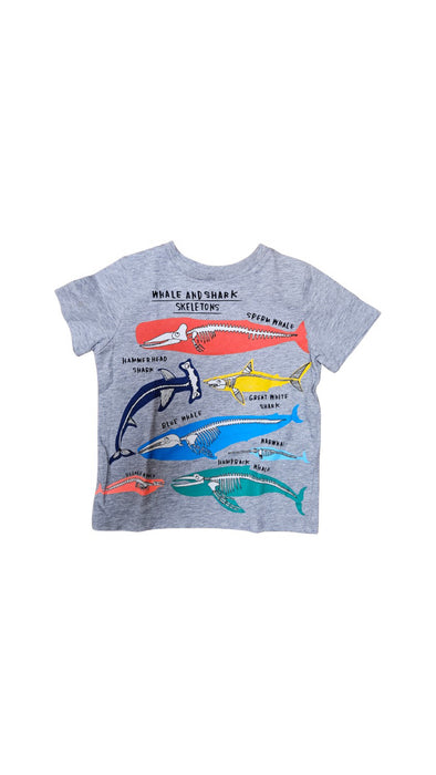 A Grey Short Sleeve T Shirts from Boden in size 2T for boy. (Front View)