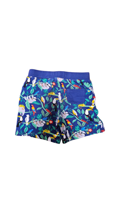 A Blue Shorts from Boden in size 2T for boy. (Back View)