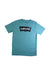 A Blue Short Sleeve T Shirts from Levi's in size 14Y for boy. (Front View)