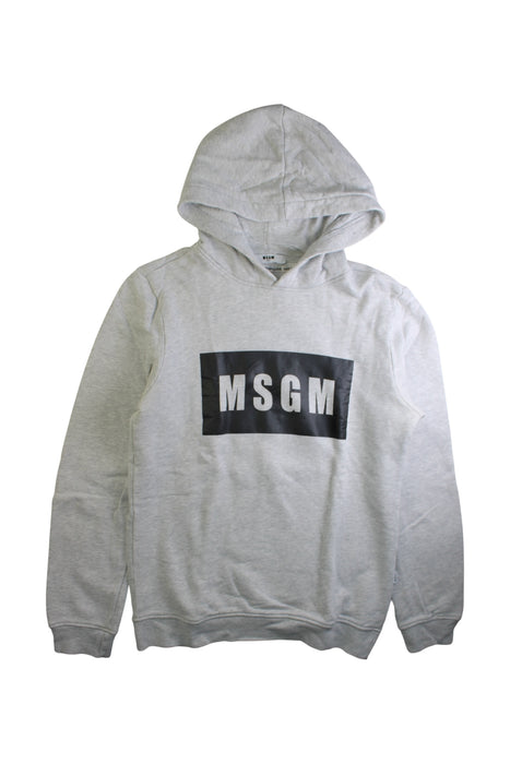 A Grey Hooded Sweatshirts from MSGM in size 14Y for boy. (Front View)