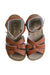 A Brown Sandals from Salt-Water in size 3T for girl. (Back View)