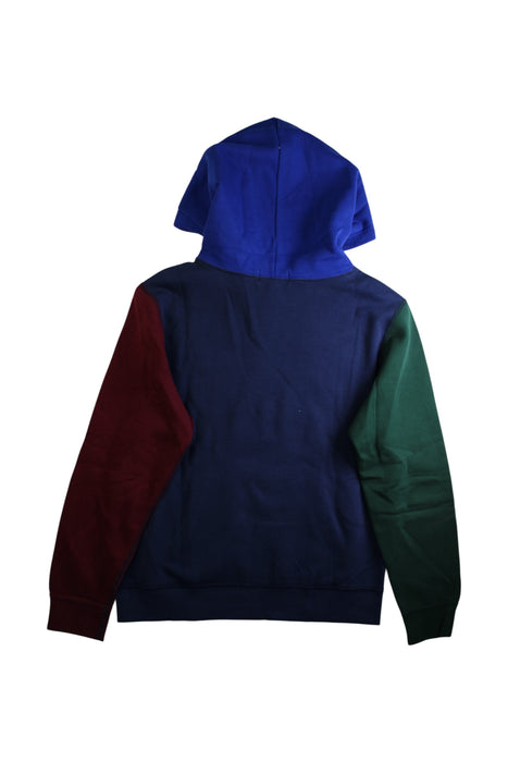 A Multicolour Hooded Sweatshirts from Polo Ralph Lauren in size 14Y for boy. (Back View)