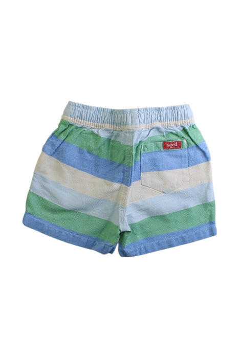 A Multicolour Shorts from Seed in size 2T for boy. (Back View)