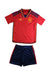 A Red Shorts Sets from Adidas in size 6T for boy. (Front View)