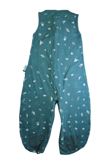 A Teal Swaddles from ErgoPouch in size 6-12M for neutral. (Back View)