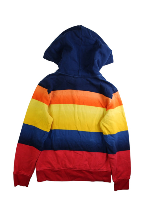 A Multicolour Hooded Sweatshirts from Polo Ralph Lauren in size 10Y for boy. (Back View)