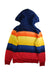 A Multicolour Hooded Sweatshirts from Polo Ralph Lauren in size 10Y for boy. (Back View)