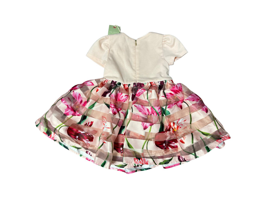 A Multicolour Short Sleeve Dresses from Baker by Ted Baker in size 18-24M for girl. (Back View)