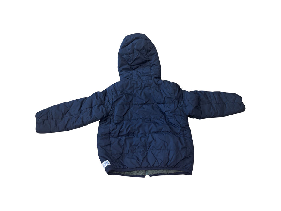 A Navy Puffer/Quilted Jackets from J.Crew in size 5T for boy. (Back View)